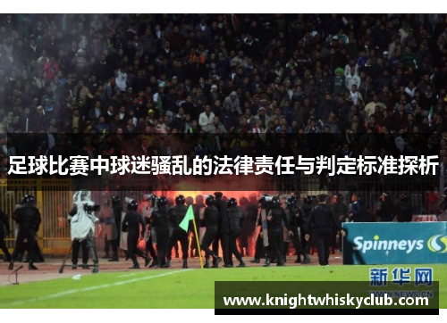 足球比赛中球迷骚乱的法律责任与判定标准探析